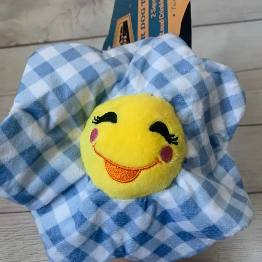 Dr. Pol Farm Flower Dog Toy Blue Gingham Plaid 2 Squeakers Crinkle 12 1/2